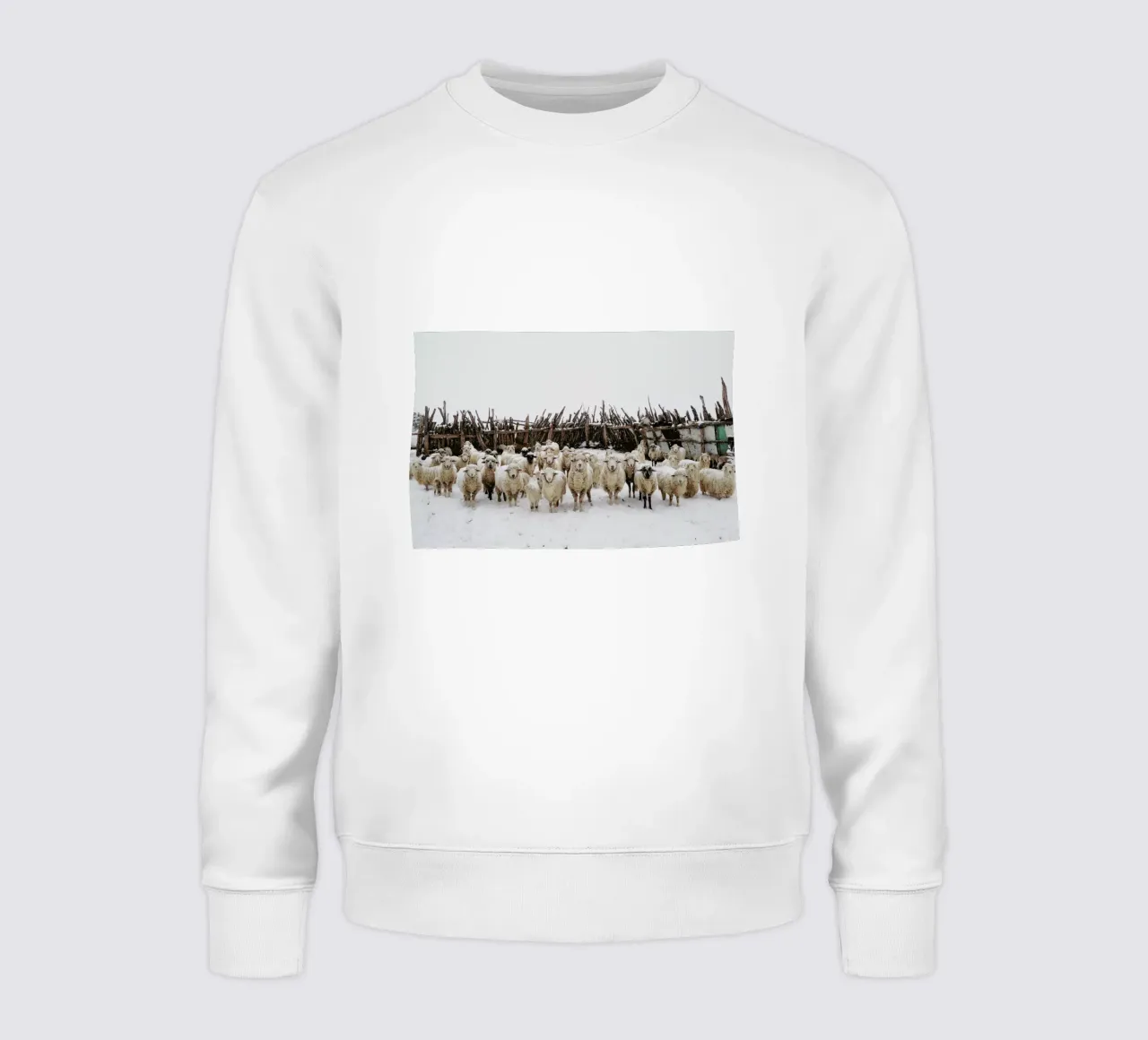 Snowy Sheep Stare felpa da Kevin Russ