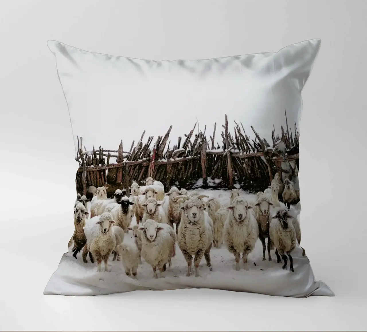 Snowy Sheep Stare cuscino da Kevin Russ