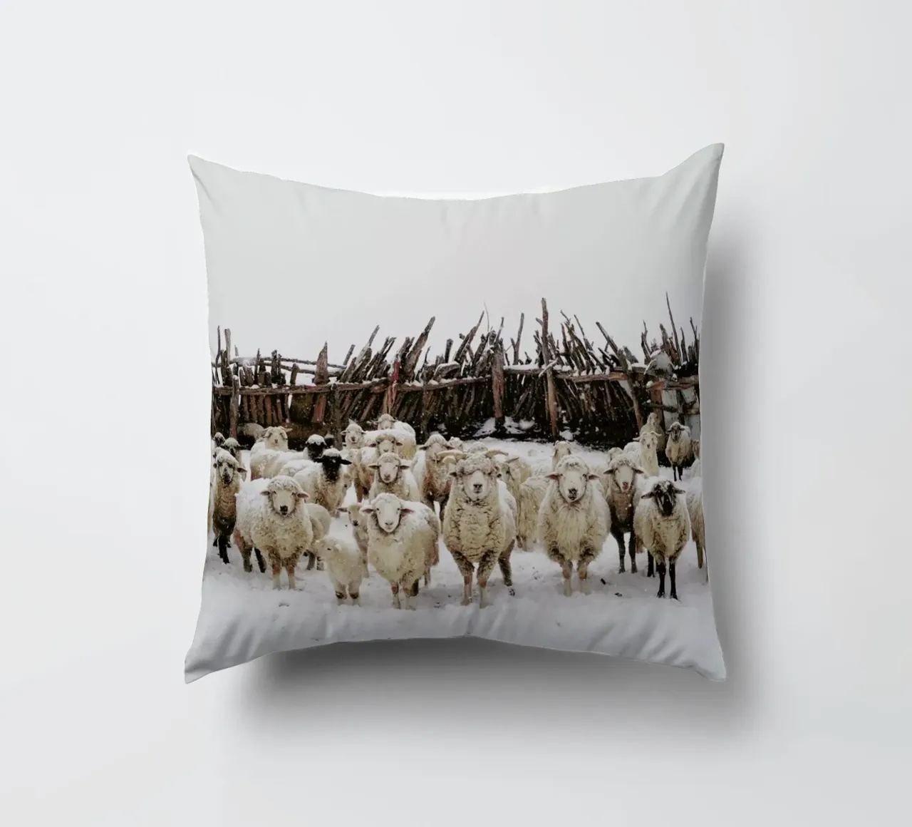 Snowy Sheep Stare cuscino da Kevin Russ