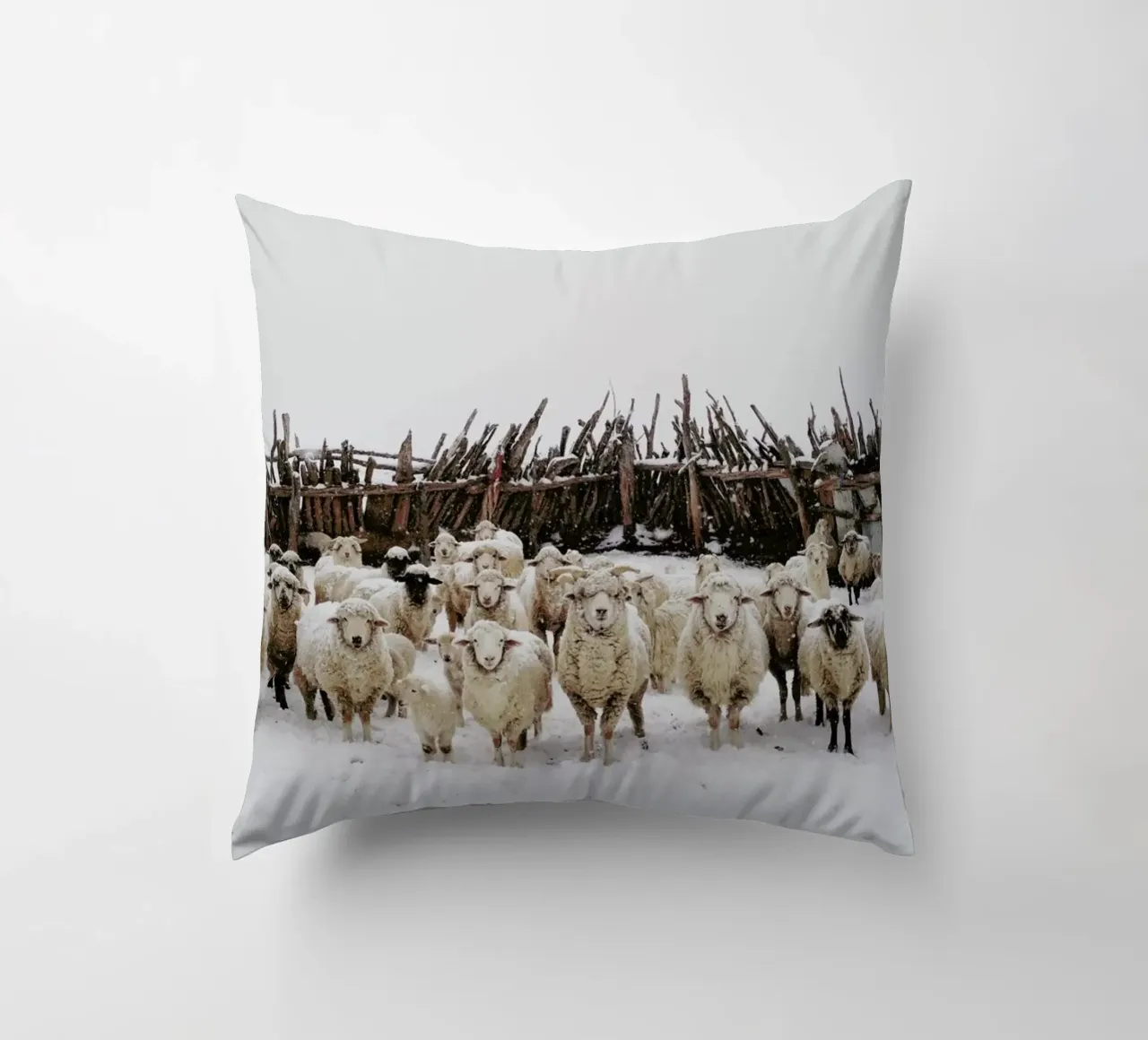 Snowy Sheep Stare cuscino da Kevin Russ