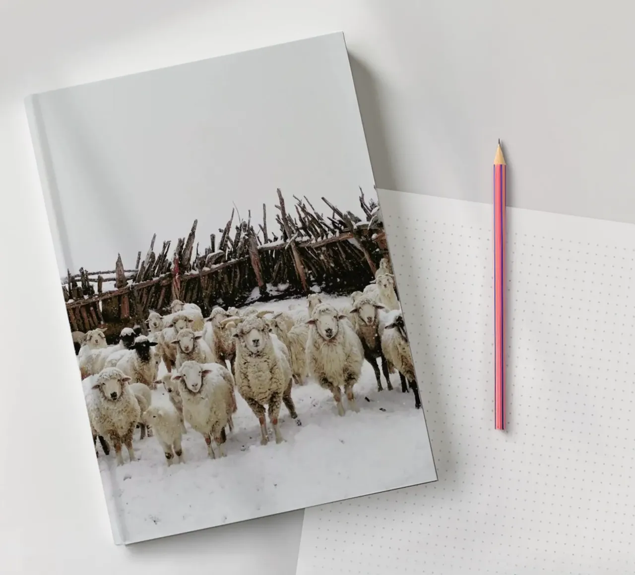 Snowy Sheep Stare notebook by Kevin Russ