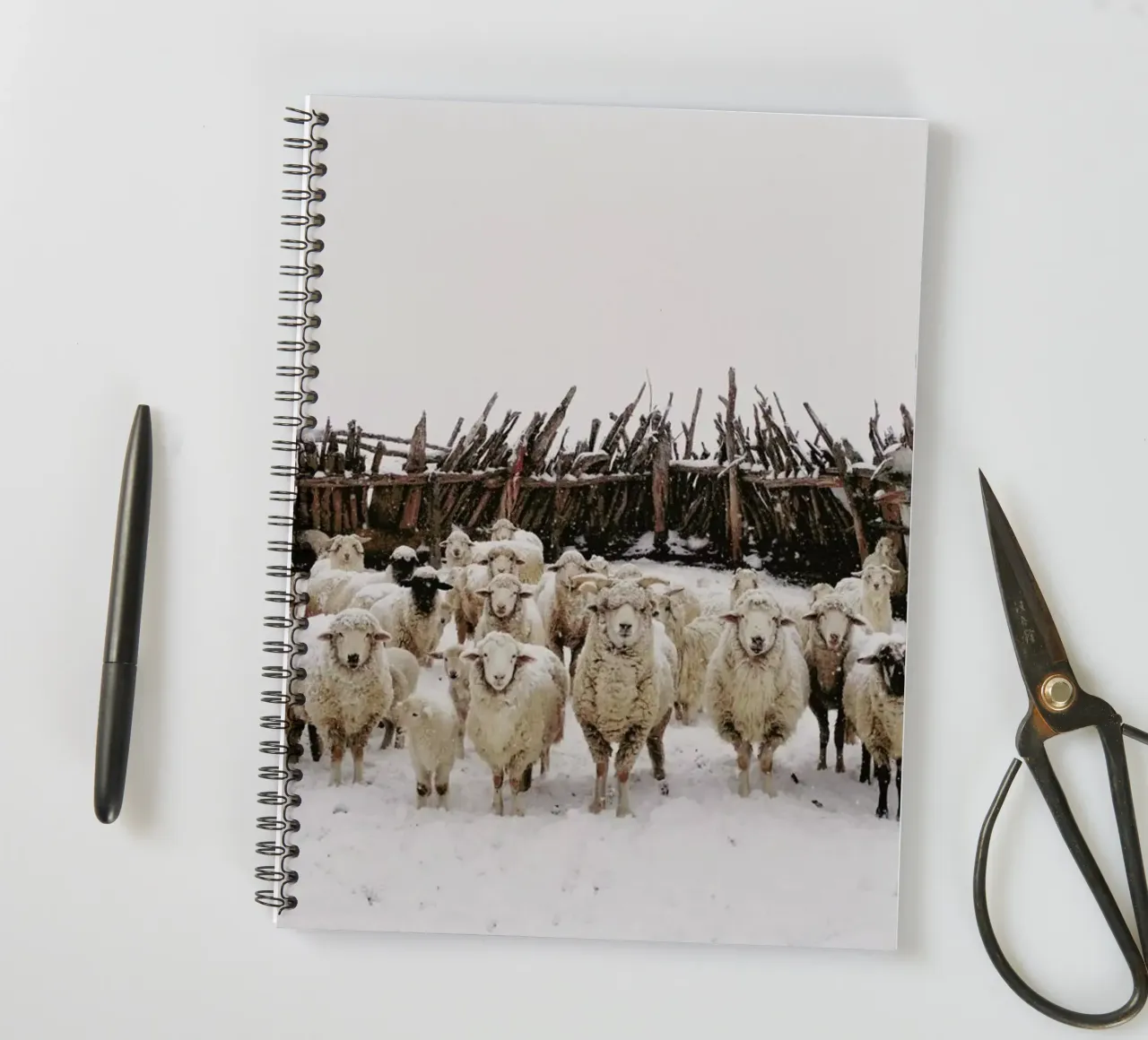 Snowy Sheep Stare Ringbuch von Kevin Russ