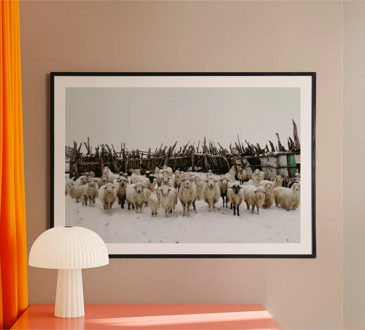 Snowy Sheep Stare poster da Kevin Russ