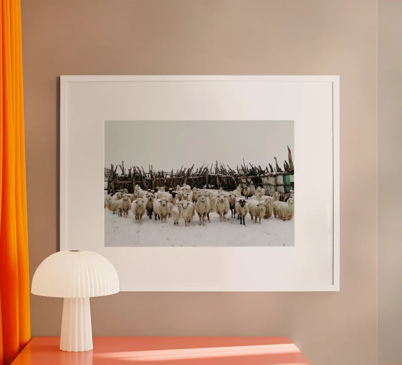Snowy Sheep Stare poster da Kevin Russ