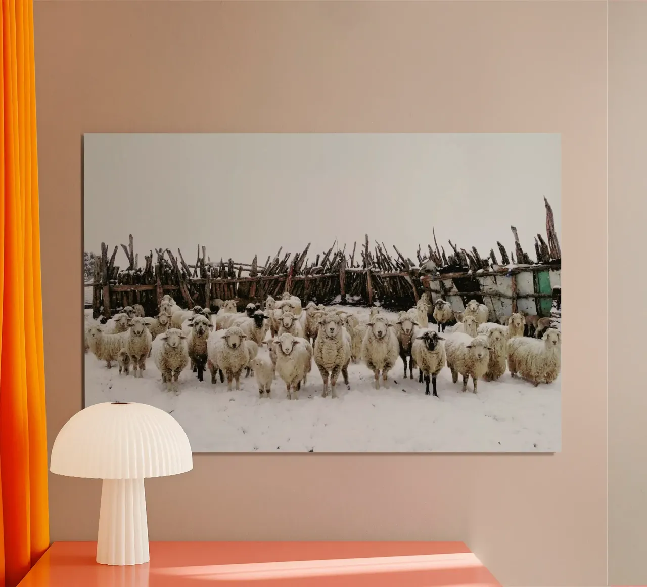 Snowy Sheep Stare poster da Kevin Russ