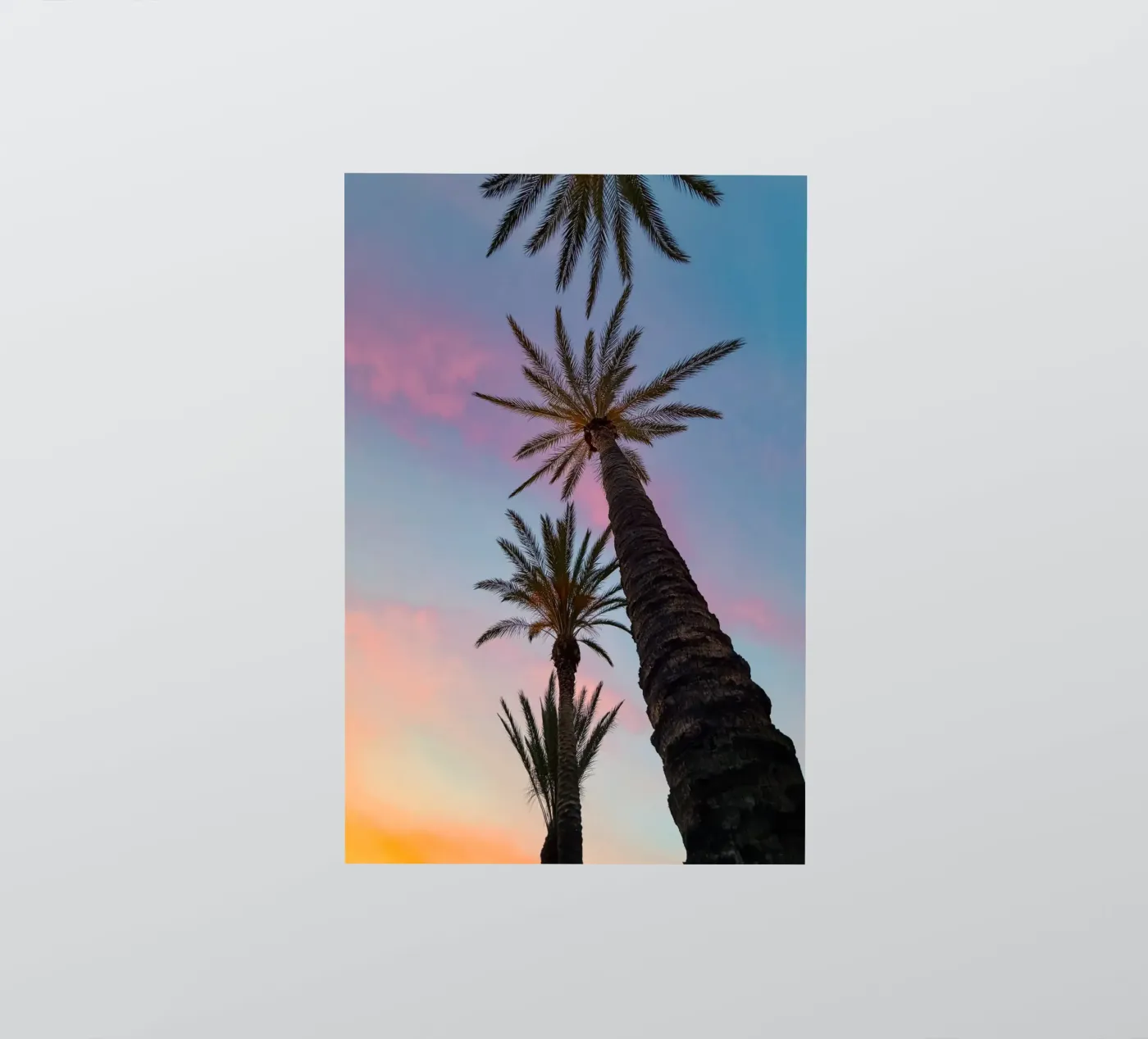 Sunset Palmtrees sticker by Thilo Grøsch