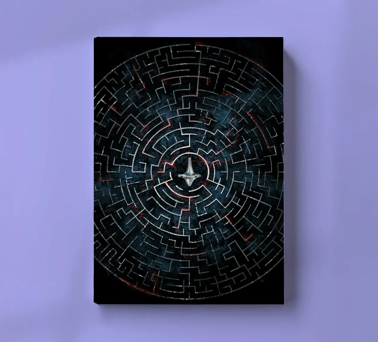 Inception Maze notebook by nabakumov