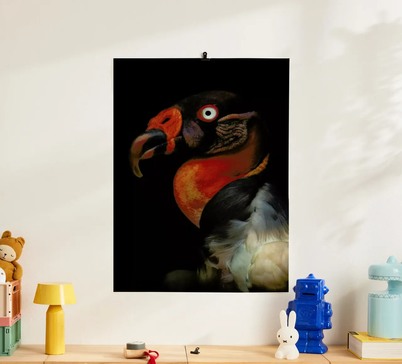 King Vulture - Sarcoramphus Papa - Ferdinando Valverde poster con telaio in legno da Pictufy