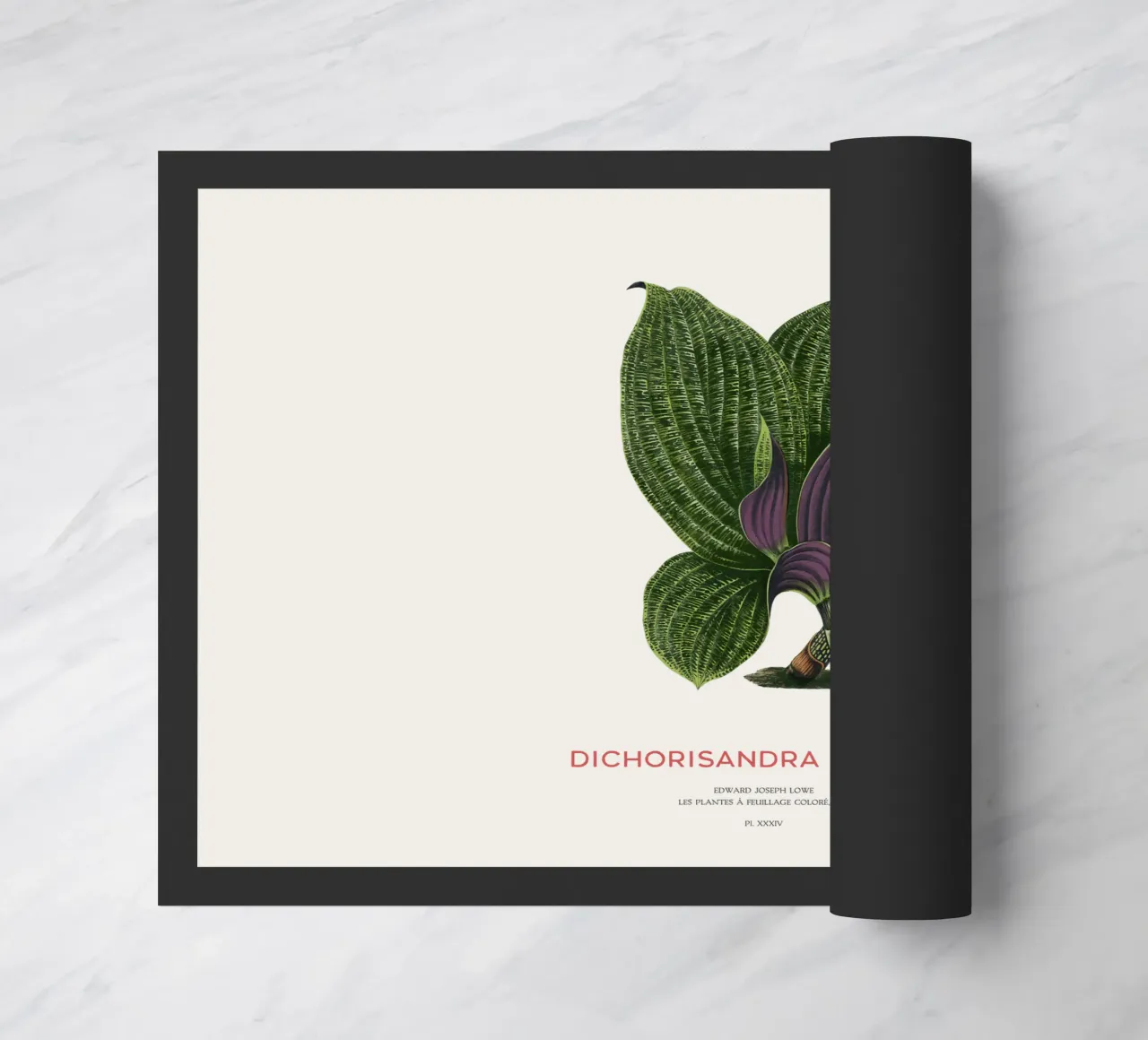 Dichorisandra Mosaica leaf zerbino da Vintagrafica