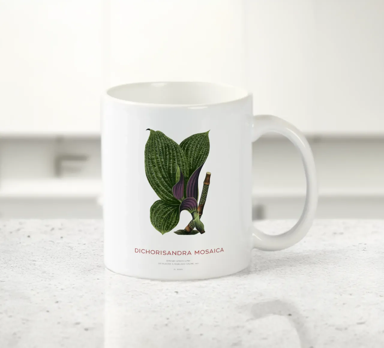 Dichorisandra Mosaica leaf tazza in ceramica da Vintagrafica