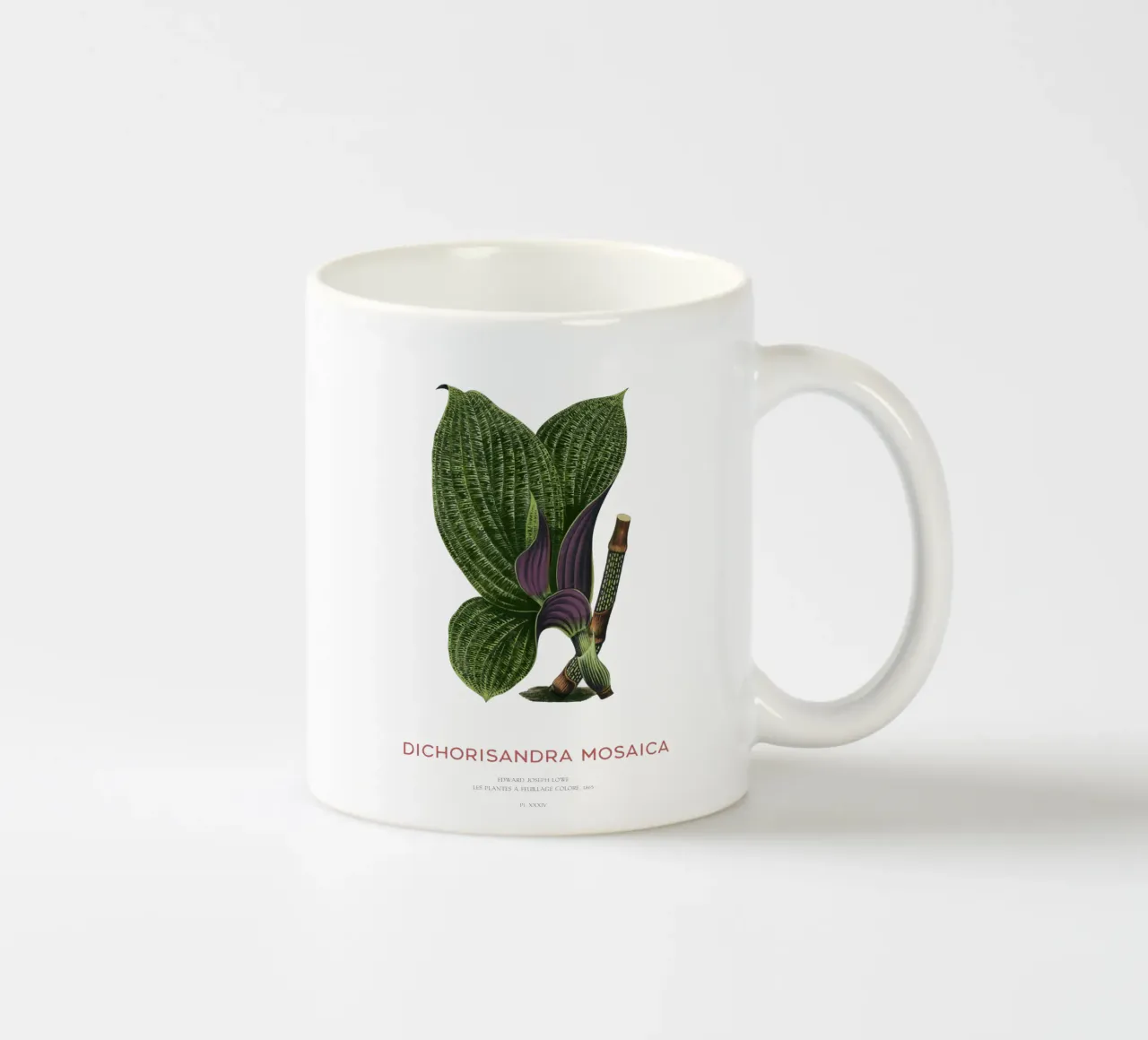Dichorisandra Mosaica leaf tazza in ceramica da Vintagrafica