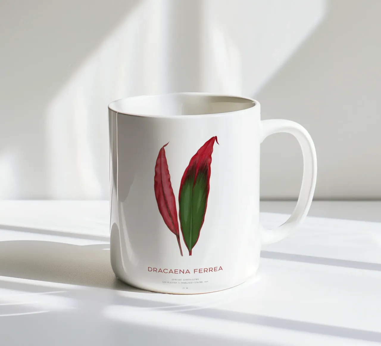 Pianta di Ti o Dracaena Ferrea tazza in ceramica da Vintagrafica