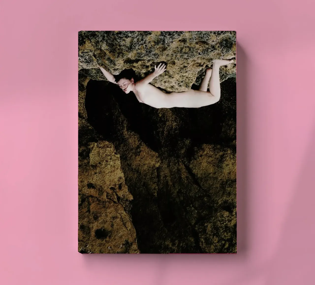 Nature Of Traction II notebook by Dani L.