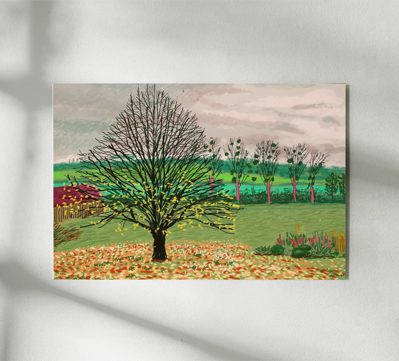 David Hockney plexiglass da Harmony Gallery