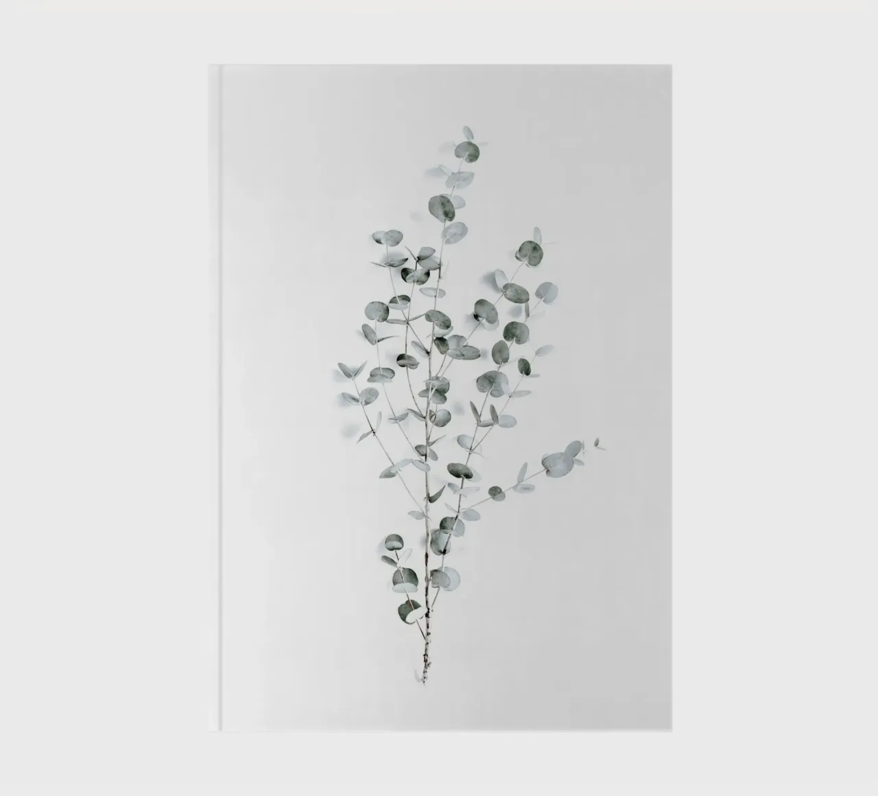 Feuilles d'eucalyptus - Moderne et léger carnet de notes de Whole©