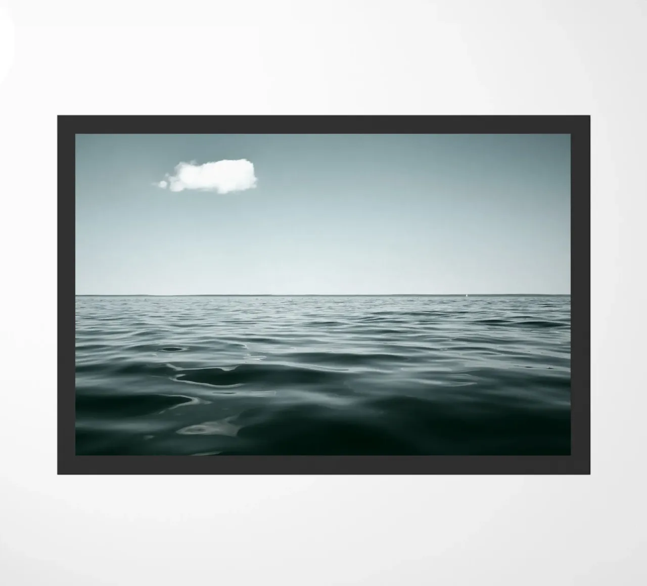 Müritz zerbino da Amy & Kurt