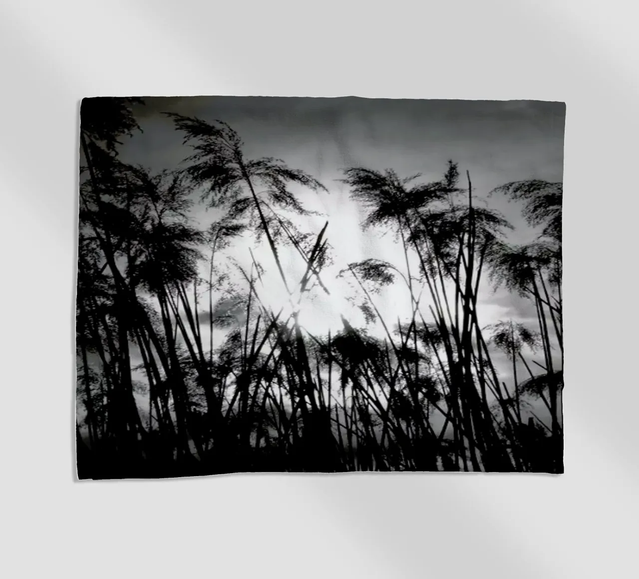Through the Reeds telo mare da Victoria Frost