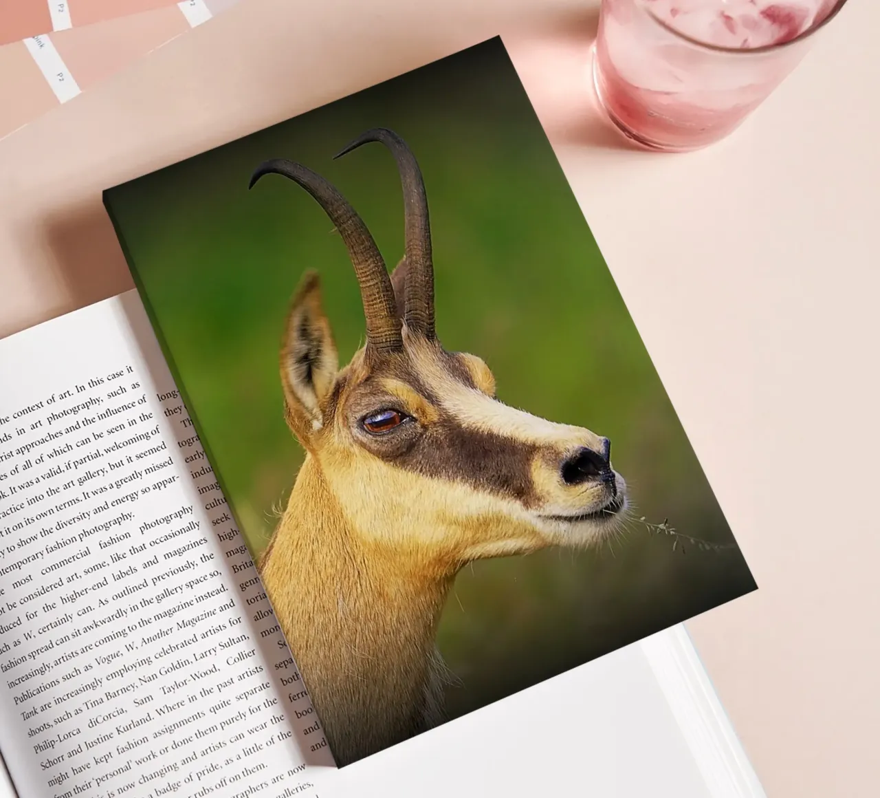 FAA67 Notizbuch von Thierry vobmann photography