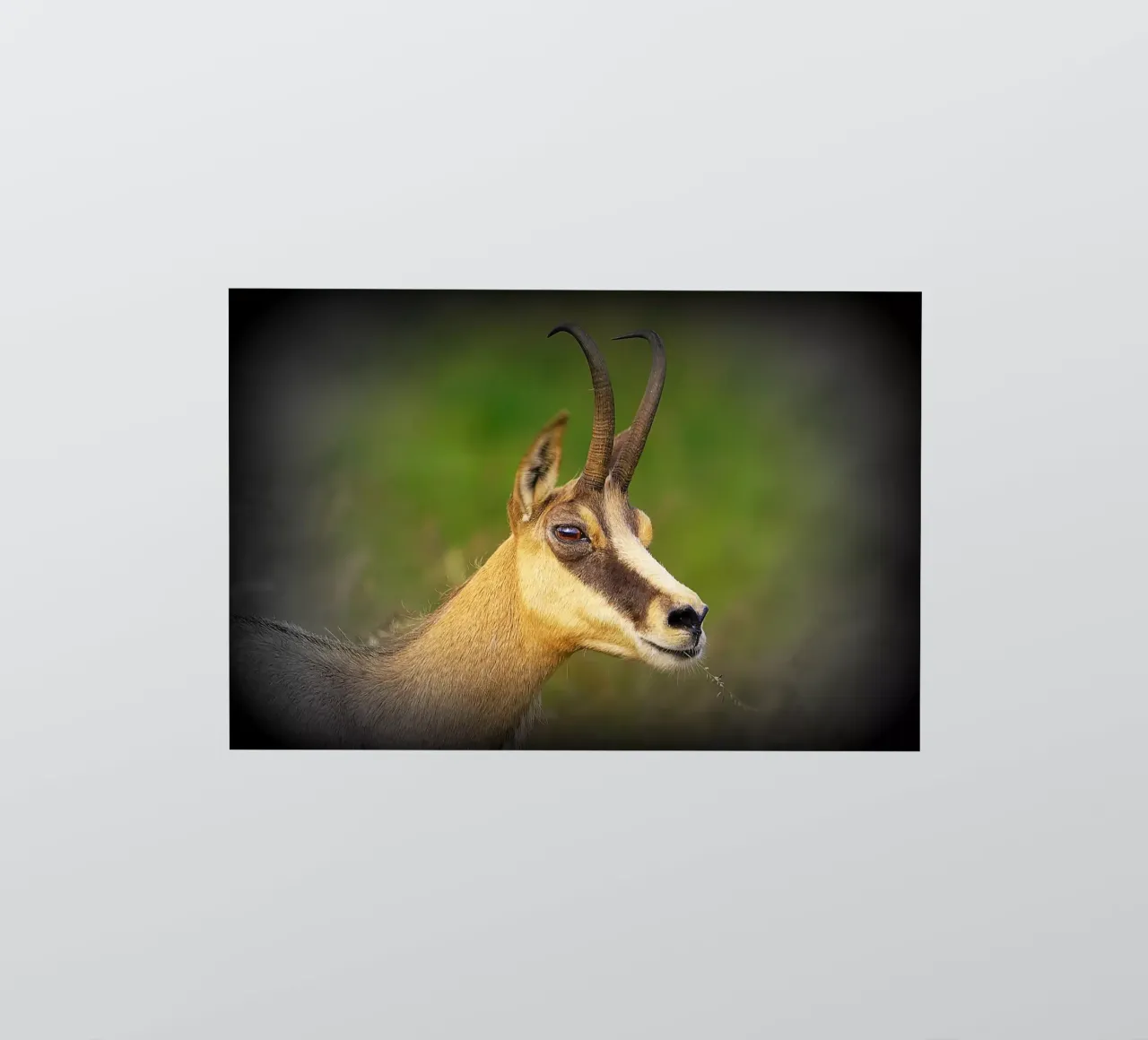FAA67 sticker by Thierry vobmann photography