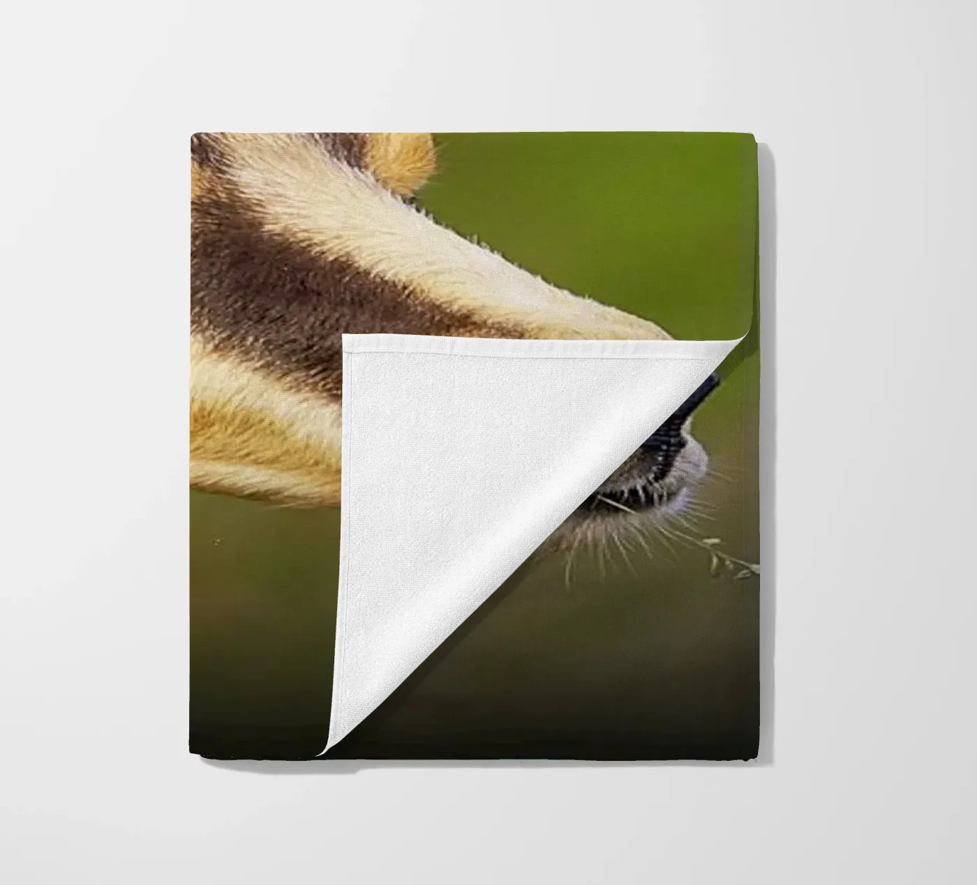 FAA67 telo mare da Thierry vobmann photography