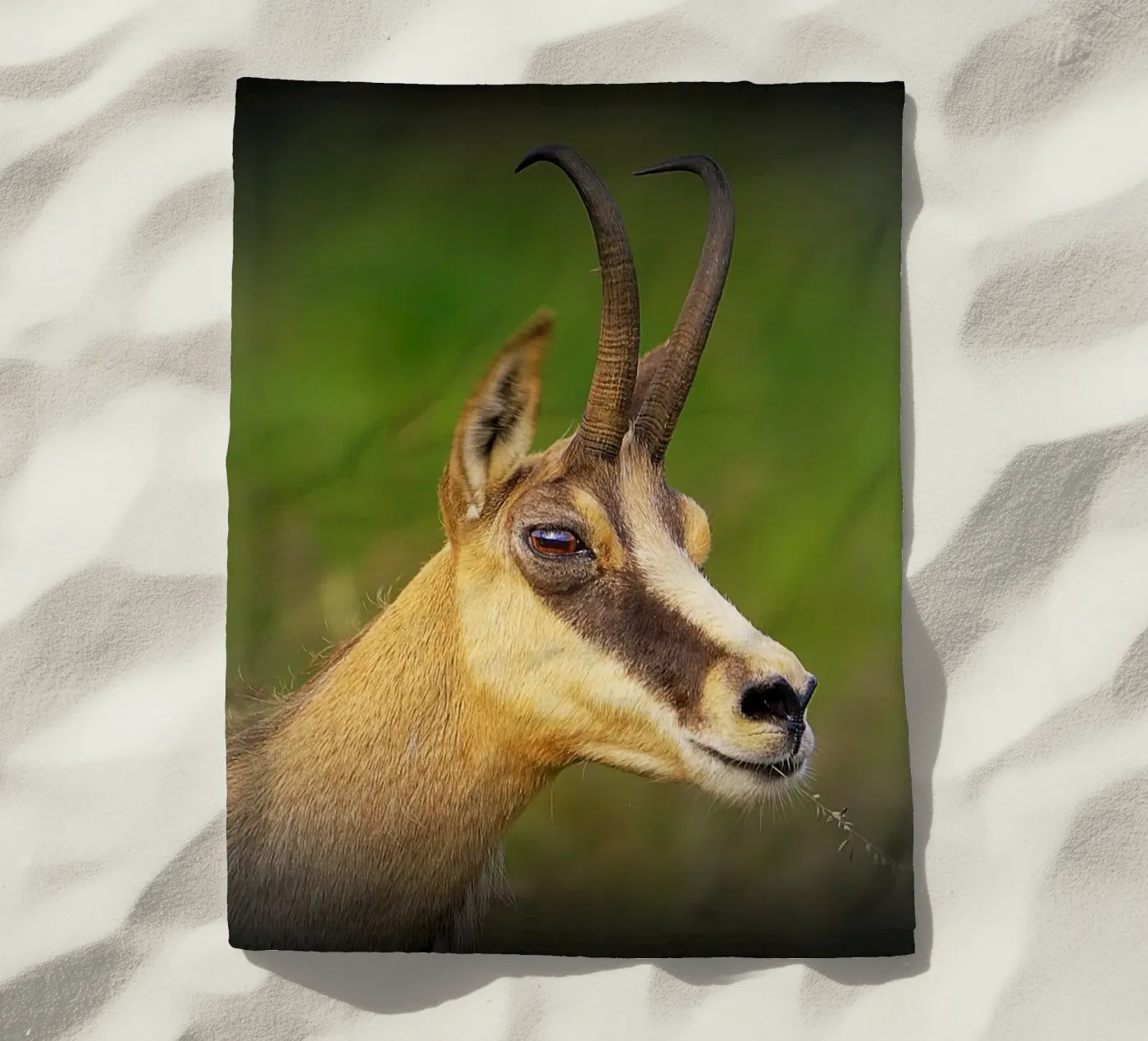 FAA67 telo mare da Thierry vobmann photography