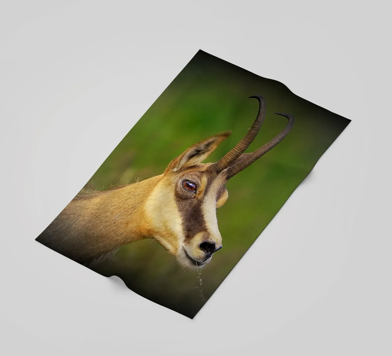 FAA67 telo mare da Thierry vobmann photography