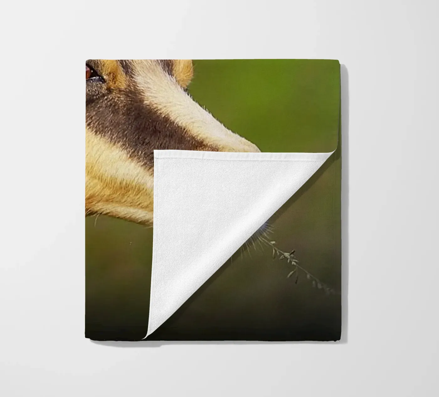 FAA67 telo mare da Thierry vobmann photography