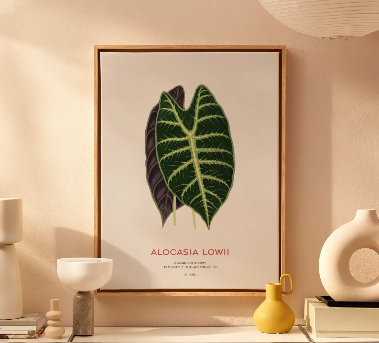 Alocasia Drachenzahn oder Alocasia Lowii Leinwand mit Schattenfugenrahmen von Vintagrafica