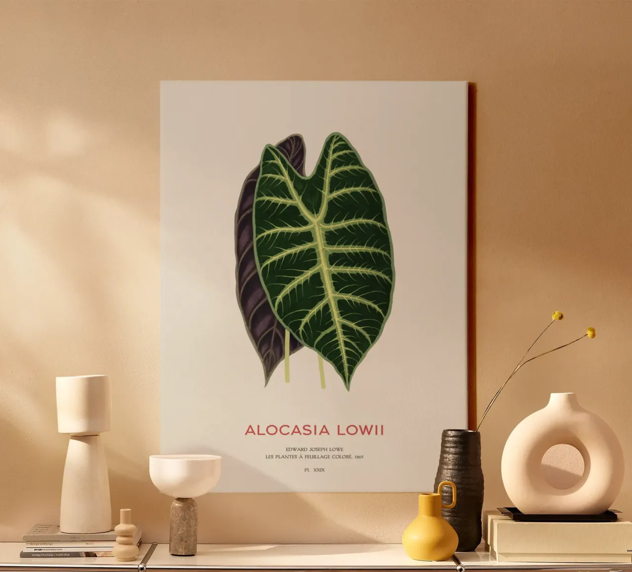 Alocasia Drachenzahn oder Alocasia Lowii Leinwand mit Schattenfugenrahmen von Vintagrafica