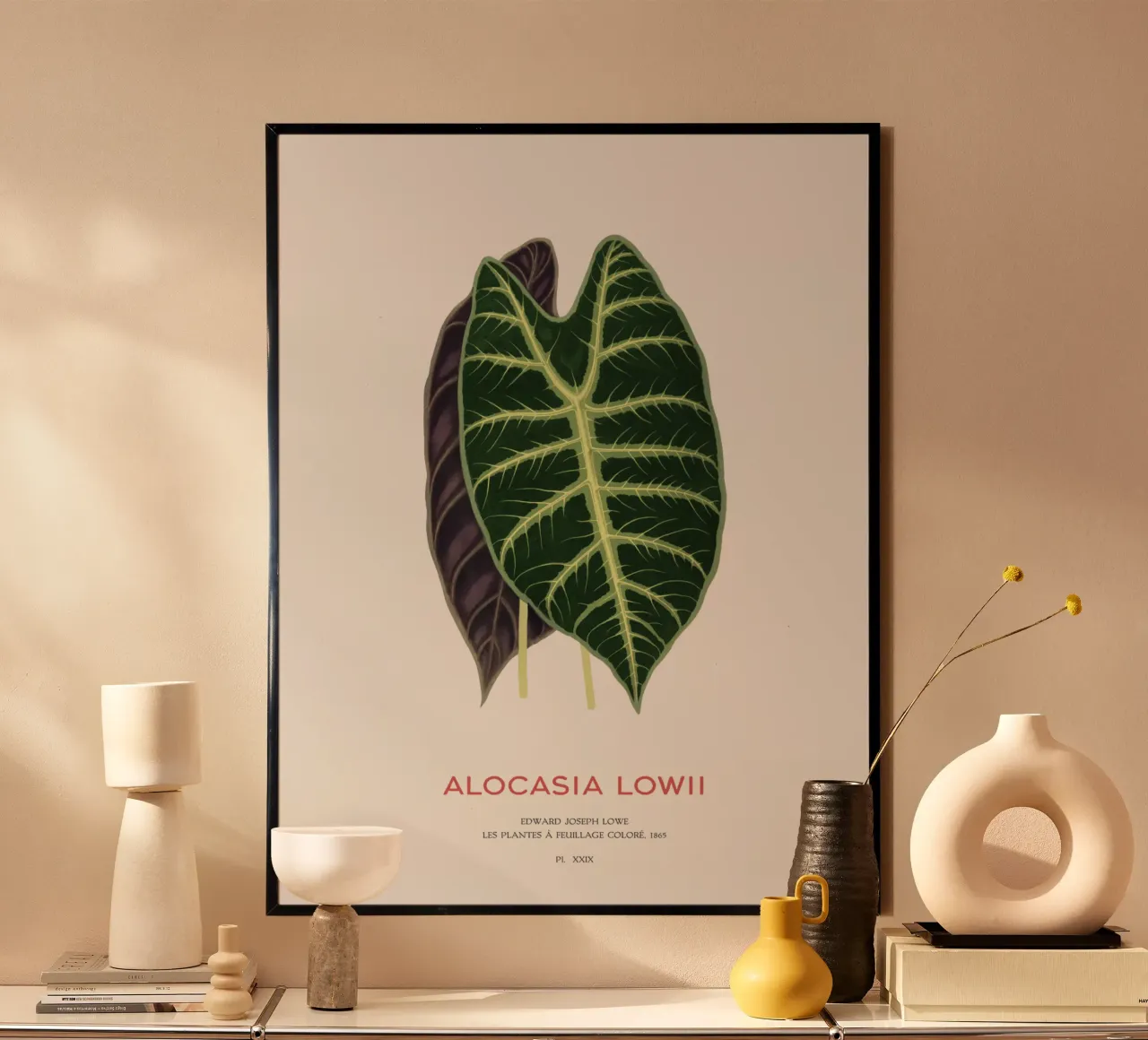 Alocasia Drachenzahn oder Alocasia Lowii Poster von Vintagrafica