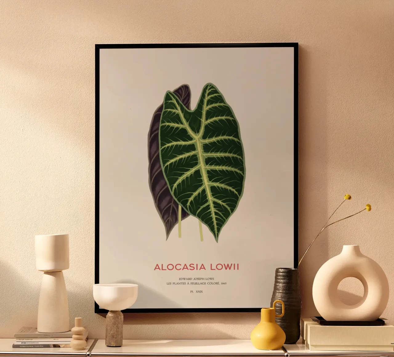 Alocasia Drachenzahn oder Alocasia Lowii Poster von Vintagrafica