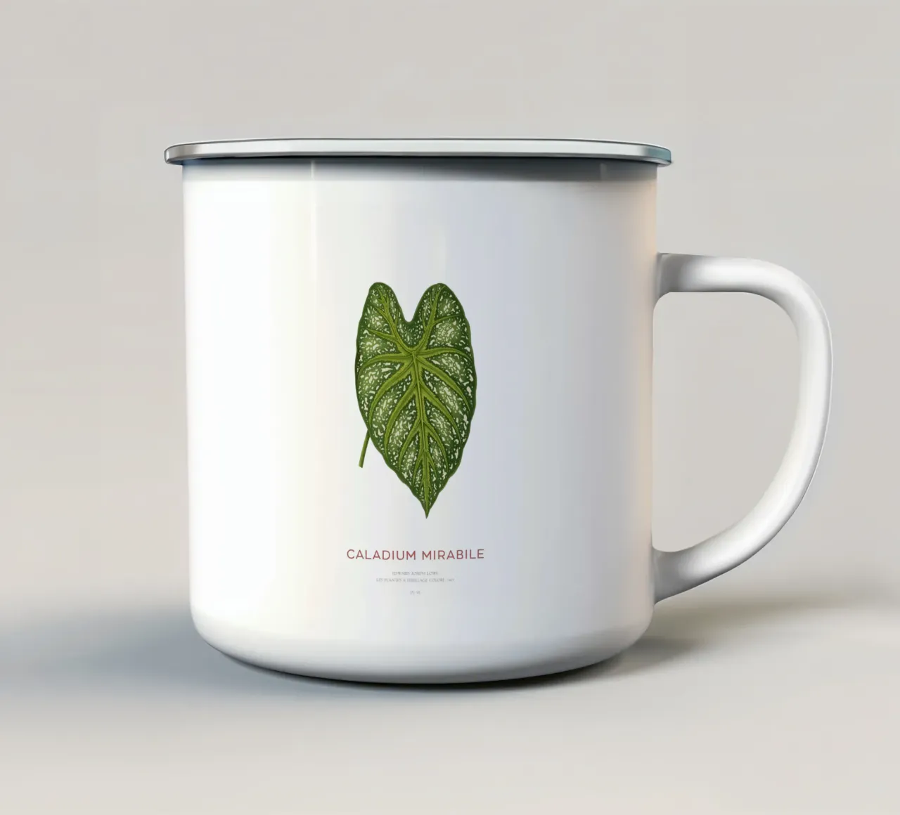 Caladium Mirabile Tropical Leaf tazza in smalto da Vintagrafica