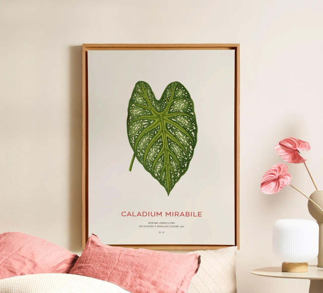 Caladium Mirabile Tropical Leaf tela con Cornice a cassetta da Vintagrafica