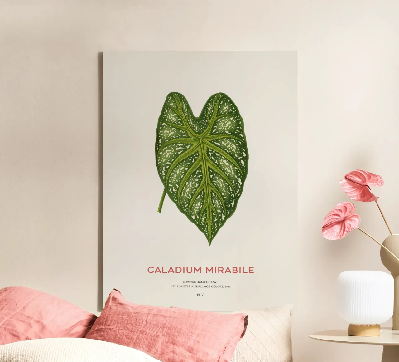 Caladium Mirabile Tropical Leaf tela con Cornice a cassetta da Vintagrafica