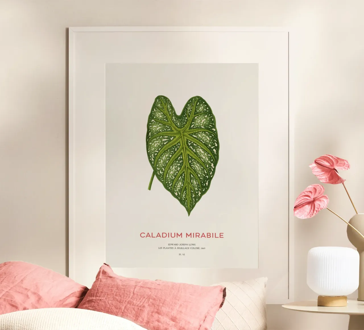 Caladium Mirabile Tropical Leaf poster da Vintagrafica