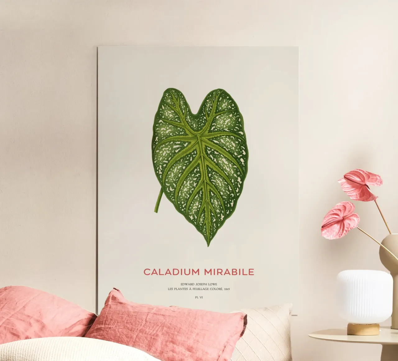 Caladium Mirabile Tropical Leaf poster da Vintagrafica