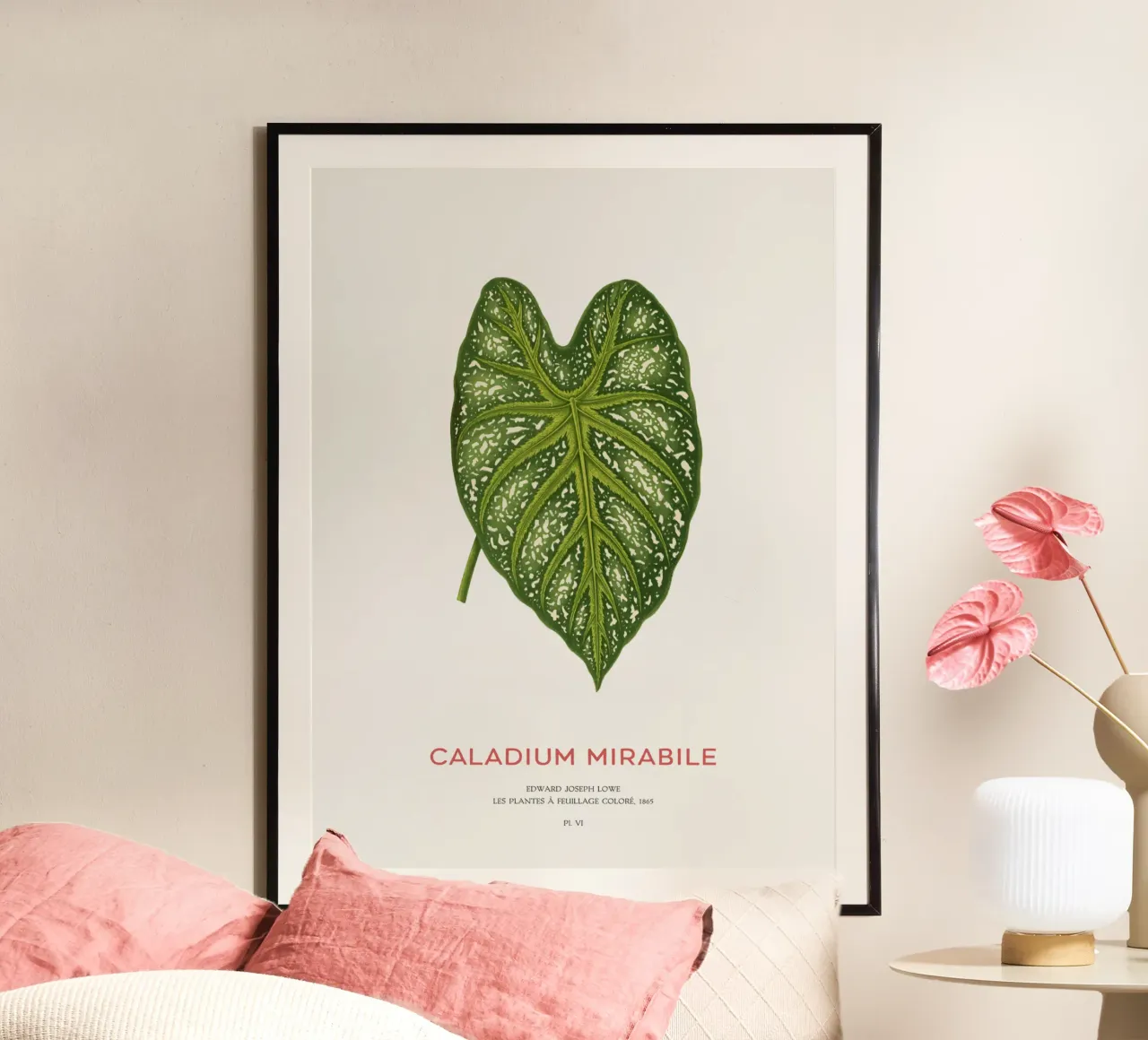 Caladium Mirabile Tropical Leaf poster da Vintagrafica