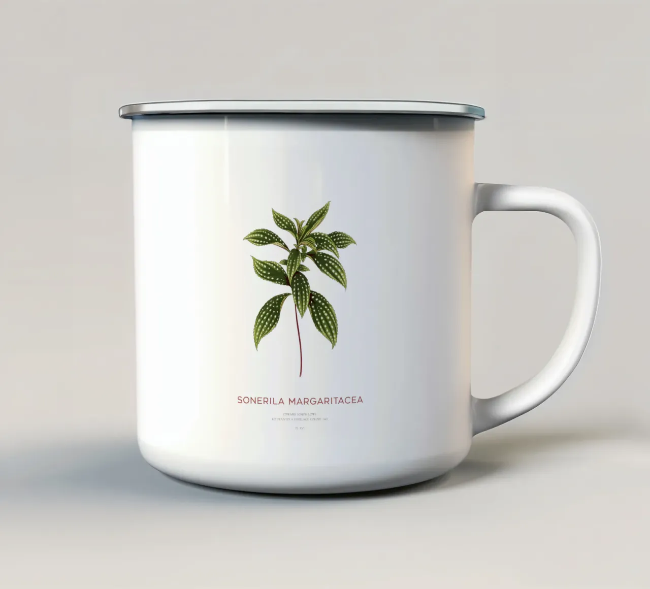 Geflecktes Blatt Sonerila oder Sonerila Magaritacea Emaille Tasse von Vintagrafica