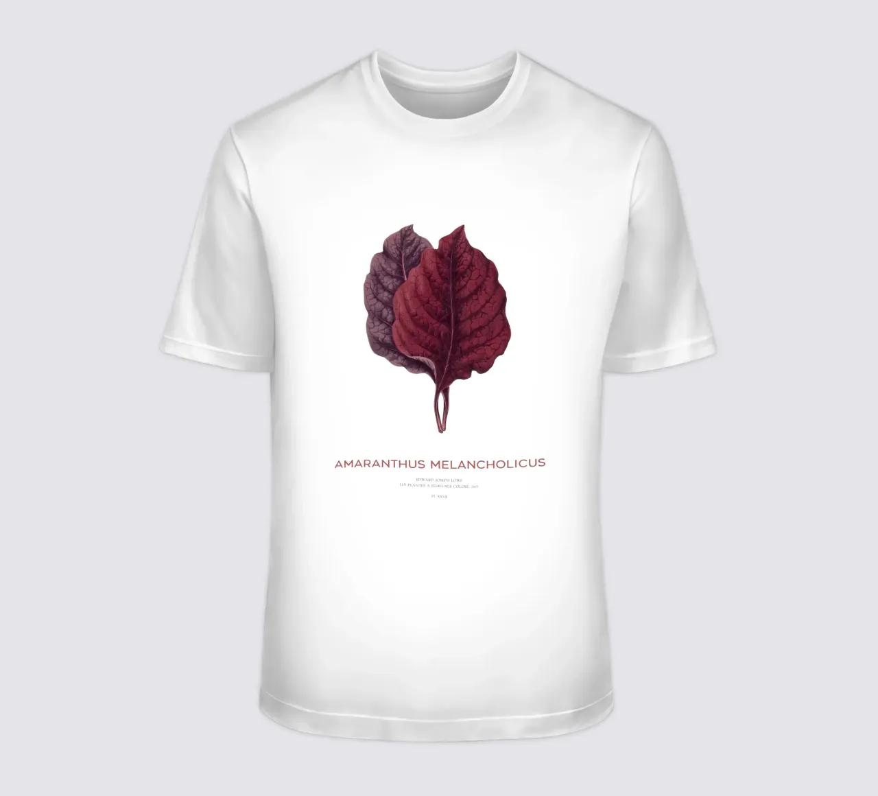 Essbarer Amaranth oder Amaranthus Melancholicus T-Shirt von Vintagrafica