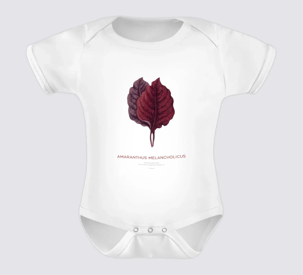Essbarer Amaranth oder Amaranthus Melancholicus Kurzarm Babybody von Vintagrafica