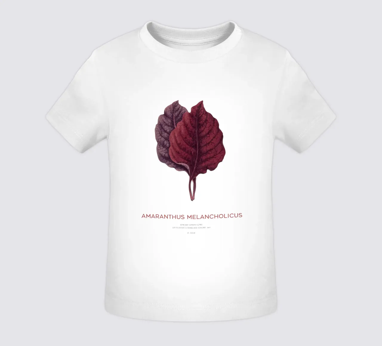 Essbarer Amaranth oder Amaranthus Melancholicus Baby T-Shirt von Vintagrafica
