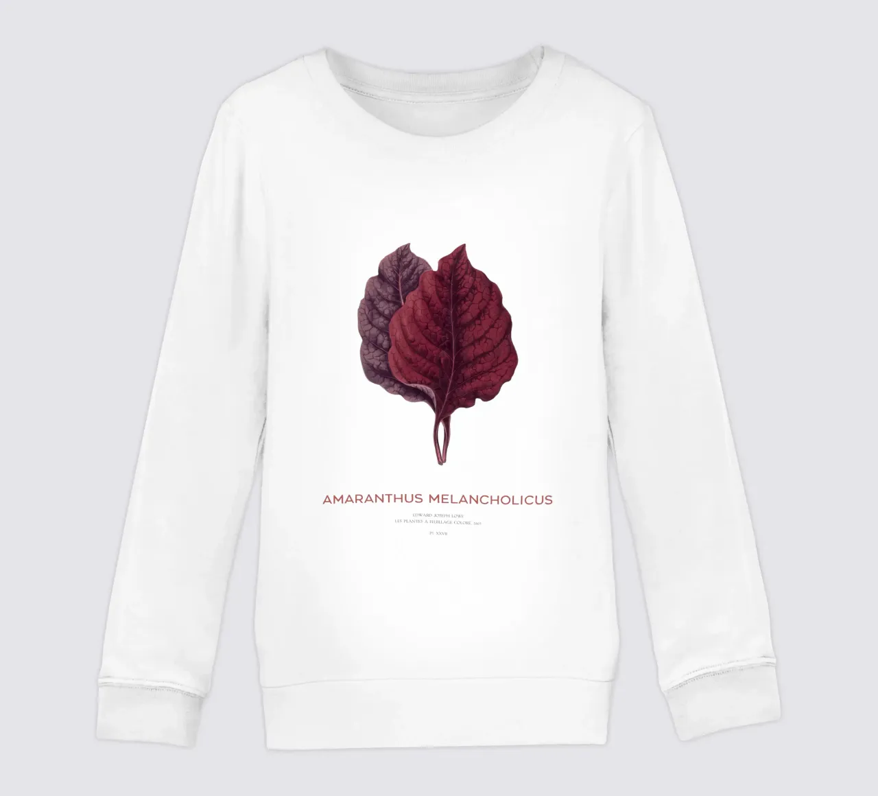 Essbarer Amaranth oder Amaranthus Melancholicus Kinder Sweatshirt von Vintagrafica