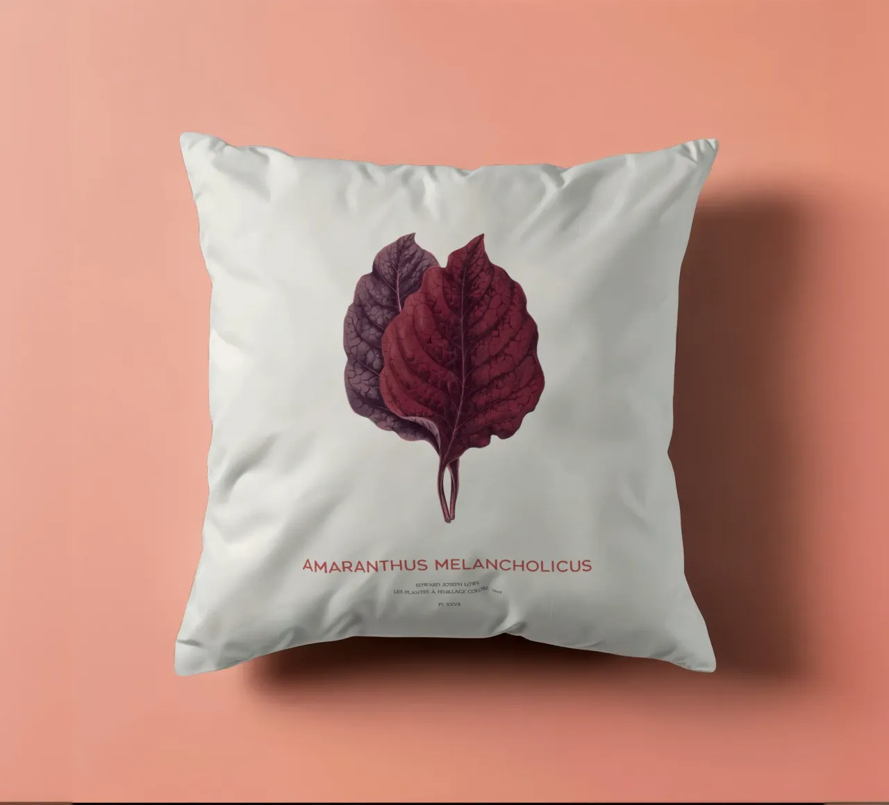 Essbarer Amaranth oder Amaranthus Melancholicus Kissen von Vintagrafica