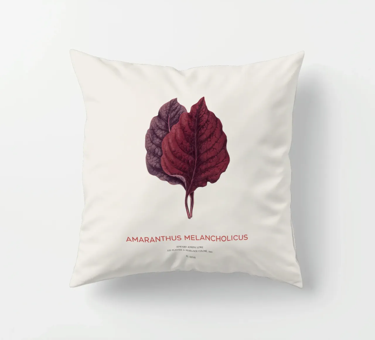 Essbarer Amaranth oder Amaranthus Melancholicus Kissen von Vintagrafica