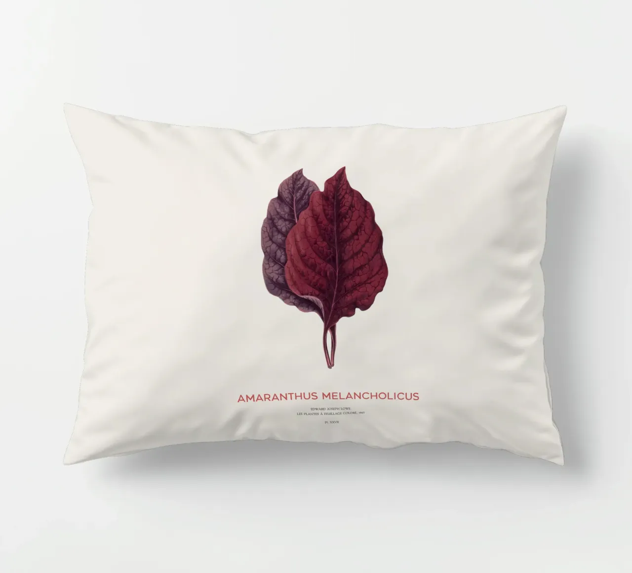 Essbarer Amaranth oder Amaranthus Melancholicus Kissen von Vintagrafica