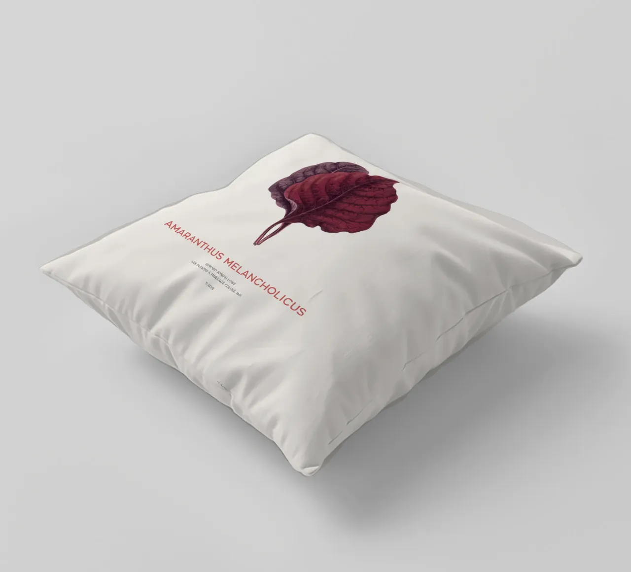 Essbarer Amaranth oder Amaranthus Melancholicus Kissen von Vintagrafica