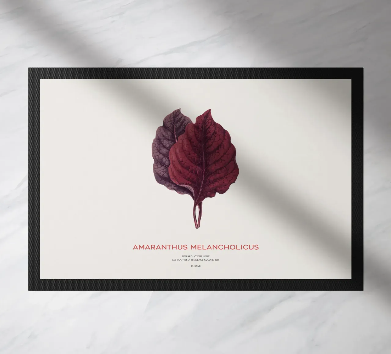 Essbarer Amaranth oder Amaranthus Melancholicus Fußmatte von Vintagrafica