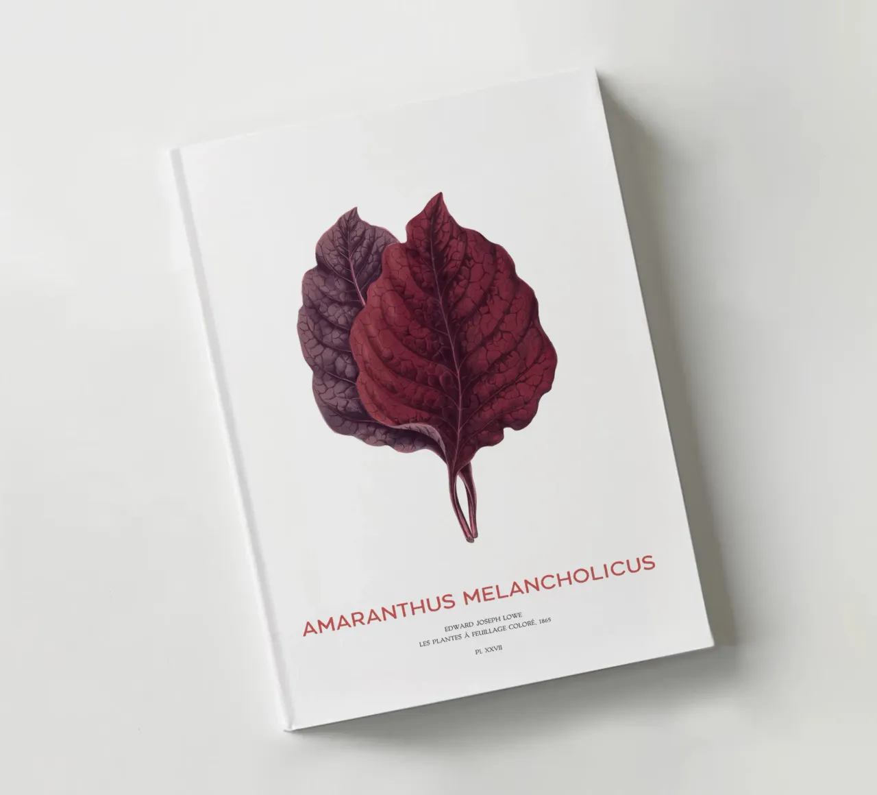 Essbarer Amaranth oder Amaranthus Melancholicus Notizbuch von Vintagrafica