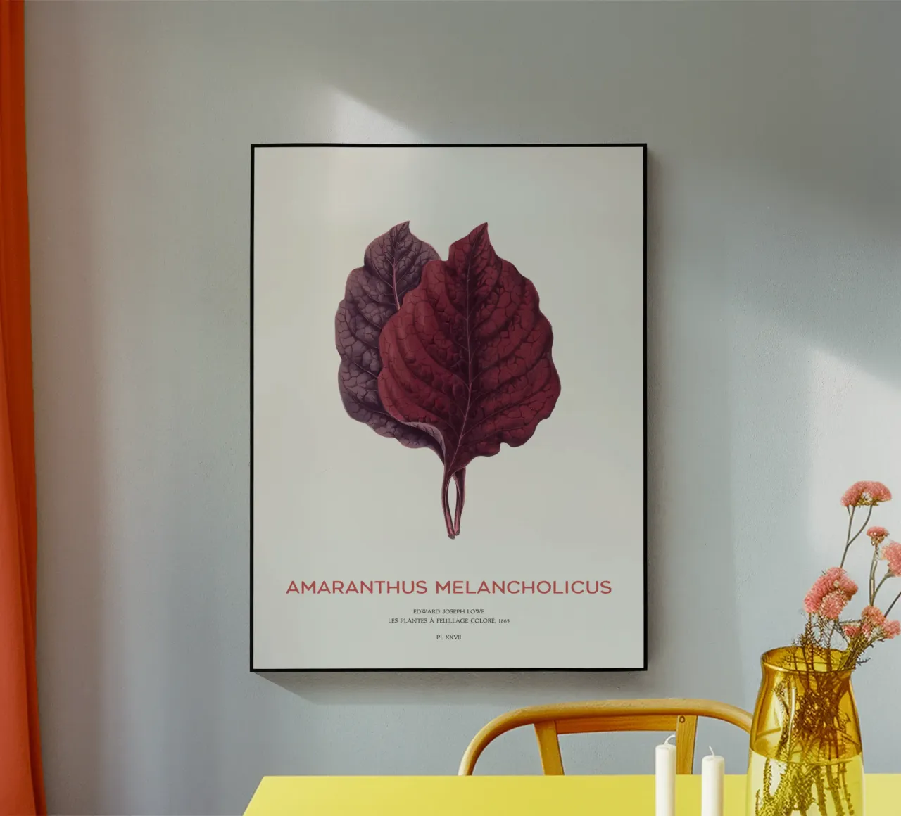 Essbarer Amaranth oder Amaranthus Melancholicus Acryl-Glas von Vintagrafica