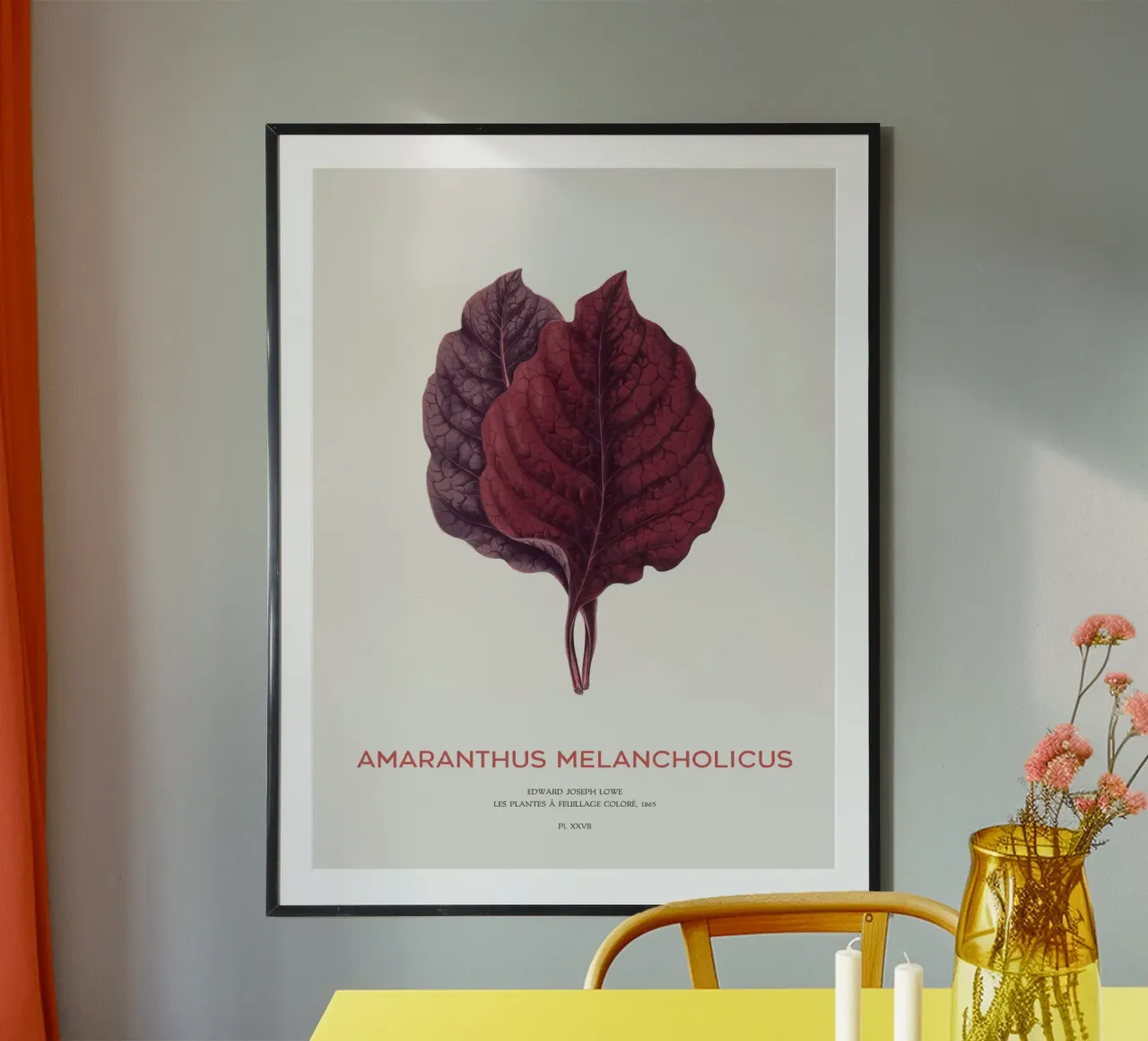 Essbarer Amaranth oder Amaranthus Melancholicus Poster von Vintagrafica